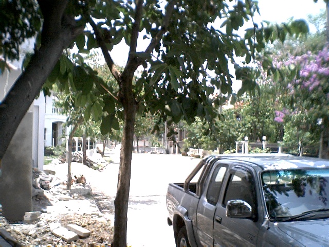 View full-size image